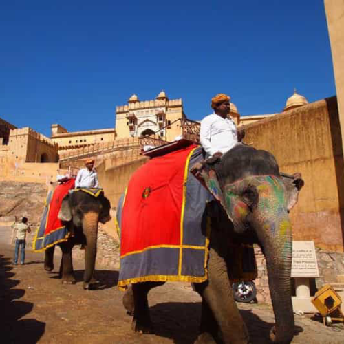 Rajasthan Royal Heritage Tour