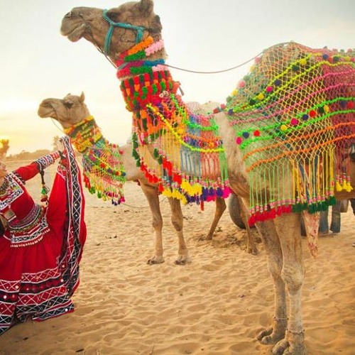 Rajasthan Cultural Discovery Tour