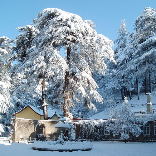 Classic Himachal Hill Station Tour 